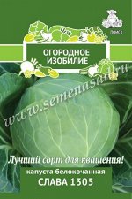 Капуста белокочанная Московская поздняя 9(Огородное изобилие) 0,5гр