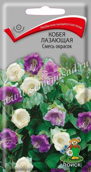Кобея лазающая Смесь окрасок (ЦВ ) ("1) 5шт.