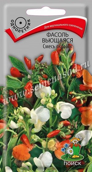 Фасоль вьющаяся Смесь окрасок(ЦВ) ("1) 5шт.