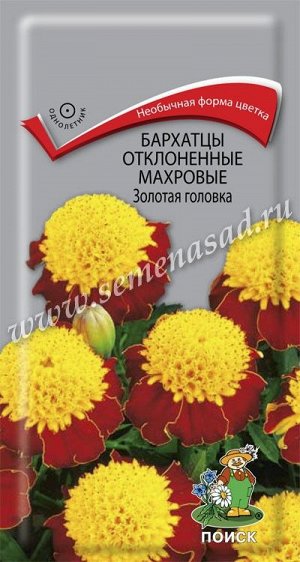 Бархатцы отклоненные махровые (Тагетес отклонённый) Золотая головка ( ЦВ) ("1) 0,4гр.