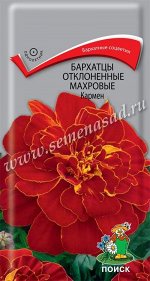 Бархатцы отклоненные махровые &quot;Кармен&quot;