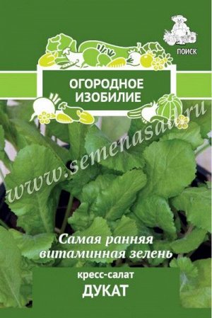Кресс-салат Дукат (Огородное изобилие) 1 гр