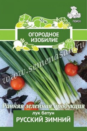 Лук батун (на зелень) Русский зимний (Огородное изобилие) 1гр