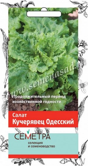 Салат Кучерявец Одесский (Семетра) 1гр