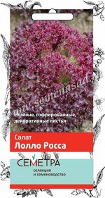 Салат &quot;Лолло Росса&quot;