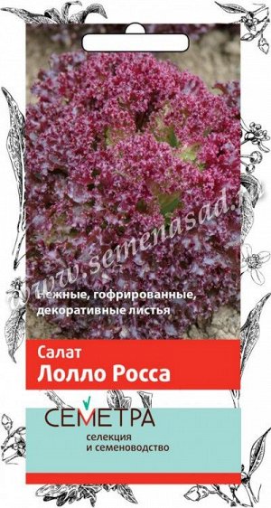 Салат Лолло Росса (Семетра) 1гр