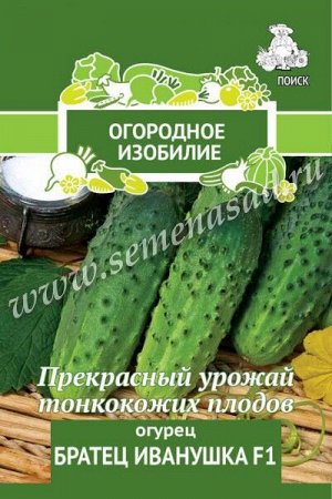 Огурец Братец Иванушка F1 (А)(Огородное изобилие) 0,5гр