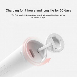 Электрическая зубная щетка Xiaomi Mijia T100