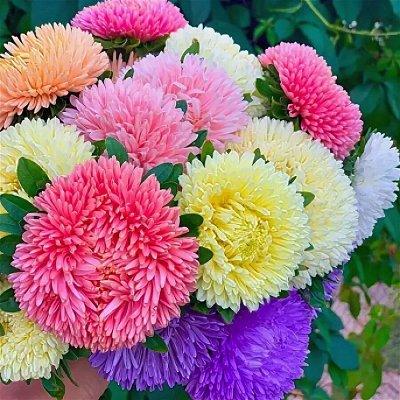 Волшебный урожай — пополняем запасы семян