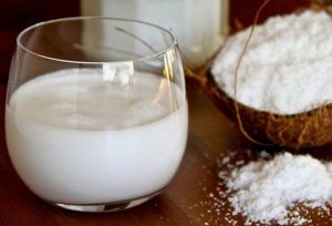 Продукты 22 века Сухое кокосовое молоко