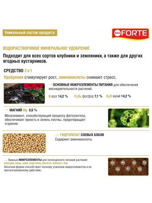 Удобрение для петуний,бегоний,пеларгоний и др.ампельных, водораств.с аминокисл-ми, пакет, комплексное, порошок, 100 г, Bona Forte
