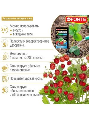 Удобрение для клубники и земляники, водораств.с аминокисл-ми, пакет, комплексное, порошок, 100 г, Bona Forte
