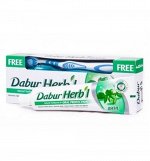 DABUR HERB&#039;L Toothpaste BASIL/ Зубная паста с базиликом + зубная щётка ср. Жесткости 150г.