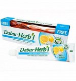 Зубная паста соль и лимон DABUR HERB&#039;L Toothpaste SALT &amp; LEMON (Отбеливающая) with Toothbrush  + зубная щётка ср. жесткости