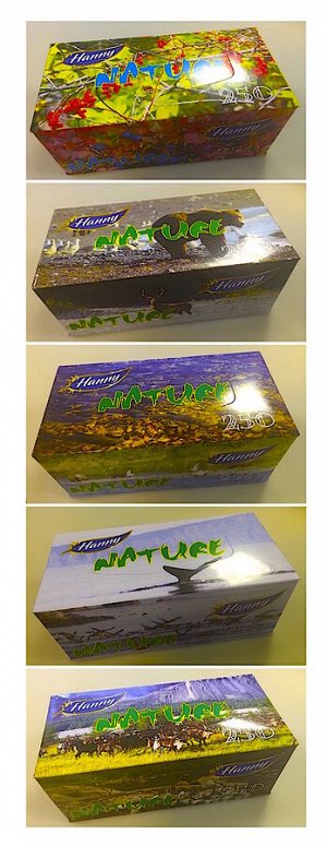 Салфетки-выдергушки HANNY "NATURE", 2 слоя, 250 штук в картонном боксе, продажа стяжками по 5 боксов