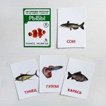 Обучающие карточки по методике Г. Домана «Рыбы»