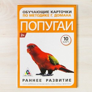 Обучающие карточки по методике Г. Домана «Попугаи», 10 карт, А6
