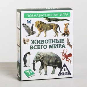 Игра-викторина «Животные всего мира»