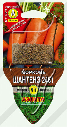 Морковь Шантенэ 2461 ---  Ор. А