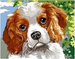 NEW! Картины по номерам деткам 20*30см