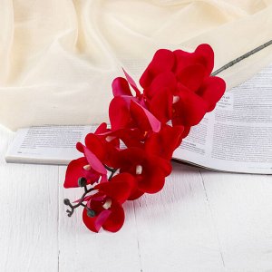 Цветы искусственные "Орхидея фаленопсис бархатистая" 10*90 см, красный