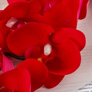 Цветы искусственные "Орхидея фаленопсис бархатистая" 10*90 см, красный