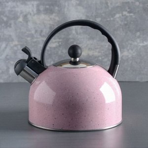 Чайник со свистком 2,5 л «Палитра», цвет МИКС