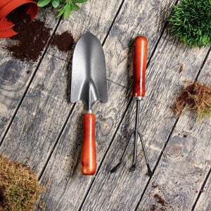 Набор садового инструмента, 2 предмета, длина 32.5 см, деревянные ручки