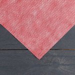 Материал укрывной, 5 ? 1,6 м, плотность 60, 2-слойный, с УФ-стабилизатором, бело-красный, «Агротекс»