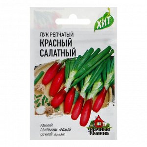 Гавриш Семена Лук на зелень репчатый Красный салатный, 0,5 г
