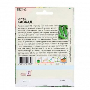 Семена ХХХL Огурец &quot;Каскад&quot;, 5 г