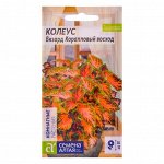 Семена комнатных цветов Колеус &quot;Визард&quot; Коралловый Восход, Мн, цп, 10 шт.