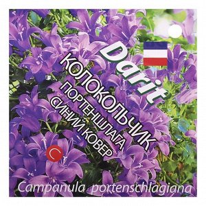 Семена цветов Колокольчик "Портеншлага" Синий ковер, Мн, DARIT 0,01 г