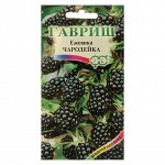 Семена Ежевика &quot;Чародейка&quot;, ц/п,  10 шт