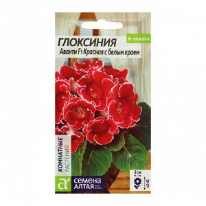 Семена комнатных цветов Глоксиния Аванти "Красная с белым краем", 8 шт.