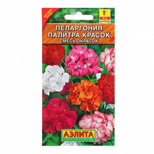 Семена комнатных цветов Пеларгония "Палитра красок", 4 шт.
