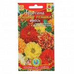 Семена Георгина &quot;Ранняя пташка&quot;, смесь, 12 шт