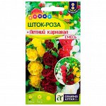 Семена цветов-3