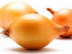 Лук севок Стурон удлиненный 0,5 л