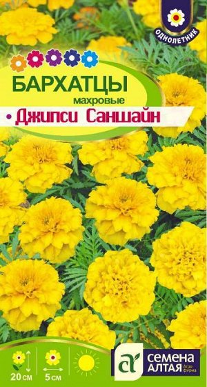 Цветы Бархатцы Джипси Саншайн махровые/Сем Алт/цп 0,3 гр.