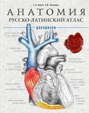 Билич Г.Л., Зигалова Е.Ю. Анатомия: русско-латинский атлас-раскраска