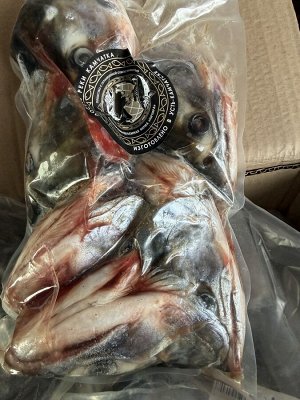 Головы лососевые свежемороженные