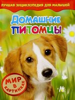 Домашние питомцы. Мир в картинках