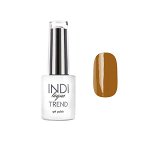 Гель-лак INDI laque TREND, 9 мл №5187