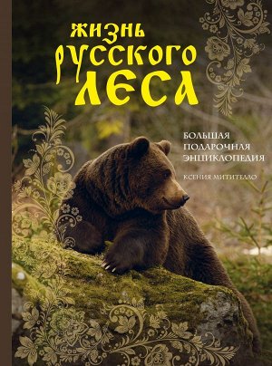 Митителло К.Б. Жизнь русского леса (издание дополненное и переработанное) (медведь)