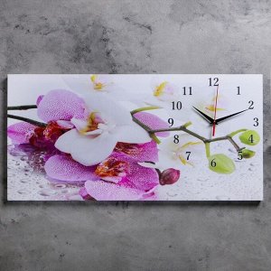 Часы настенные. серия: Цветы. на холсте "Орхидеи". 40х76  см. микс