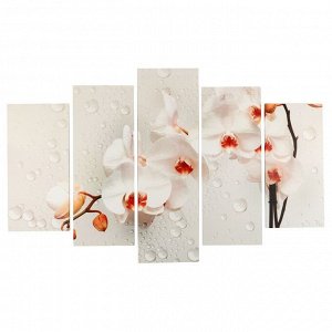Модульная картина "Ветка орхидеи" (2-25х50, 2-25х67, 25х80 см) 80х140 см 4675827