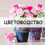 Цветоводство