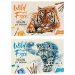 Альбом для рисования 40л., А4, на скрепке ArtSpace &quot;Wild cats&quot;