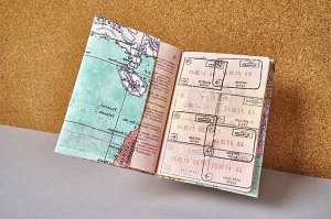 Обложка на паспорт NEW WALLET- new Voyager; сделан из Tyvek®
